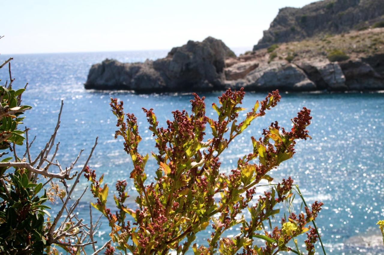 Agios Pavlos Hotel Luaran gambar